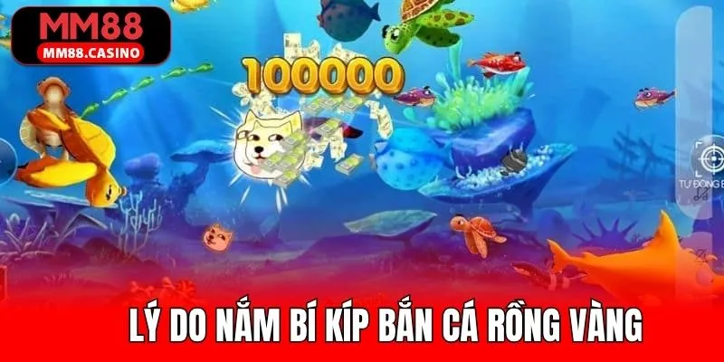 Tầm quan trọng của việc nắm bí kíp bắn cá rồng vàng