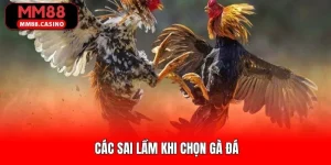 Ảnh đại diện Các Sai Lầm Khi Chọn Gà Đá